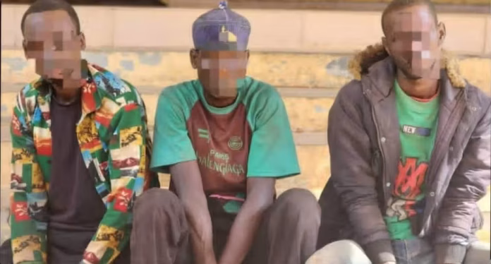 Suspected-kidnappers-arrested-in-Ondo-2026-09-15-916